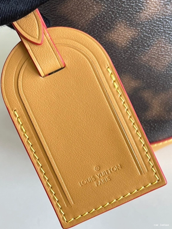 Fake Louis Bags CRUISER VUITTON LOUIS HOBO PM 0727